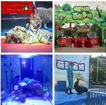 威海哪有鸚鵡表演出租,馬戲團表演租賃_志趣網