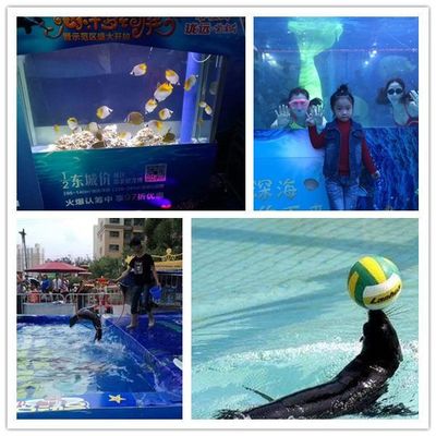 甘肅周邊的海獅表演出租