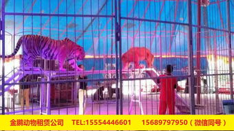 專業出租馬戲團表演與冰雕展出租賃服務