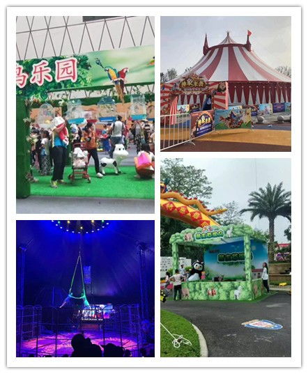 東臺市周邊羊駝出租租賃、海洋展與馬戲團出租賃服務詳解