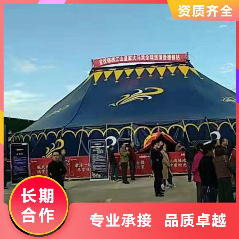 創意活動新風尚 馬戲團表演、羊駝出租與海獅互動好評如潮，冰雕展出租賃點亮城市魅力